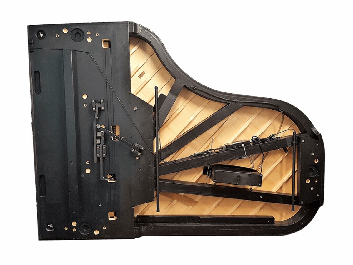 Dampp-Chaser Piano Life Saver System: Complete Guide & FAQ