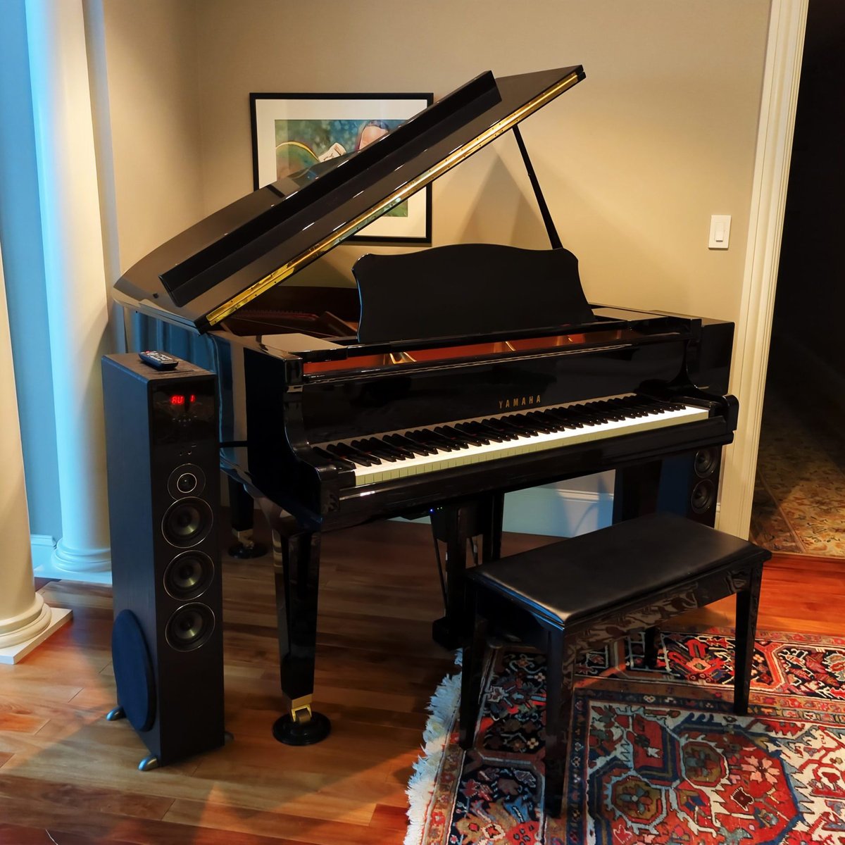 The Piano Styles Of Dr. John 輸入盤2DVD The Piano Styles of