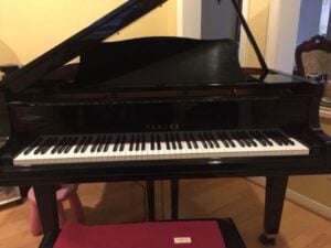 Free Piano Giveaway for “Passionate Instrument Lover” Scam IMG_0423