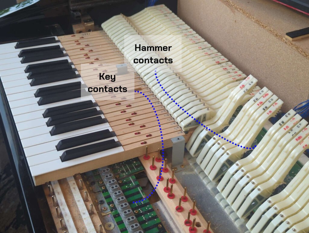 The keys partially removed from a CLP-175. Note two separate sets of contacts.